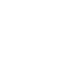 ys_ico12